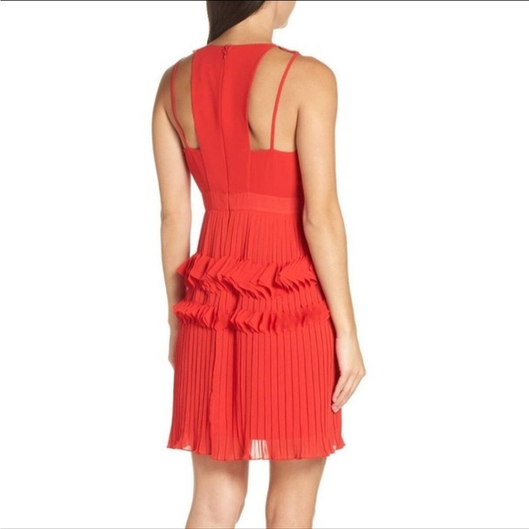 Foxiedox Pleated Ruffle Dress - Picture 2 of 6